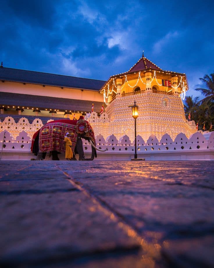 Kandy & Hill Country Explorer (Most Popular)